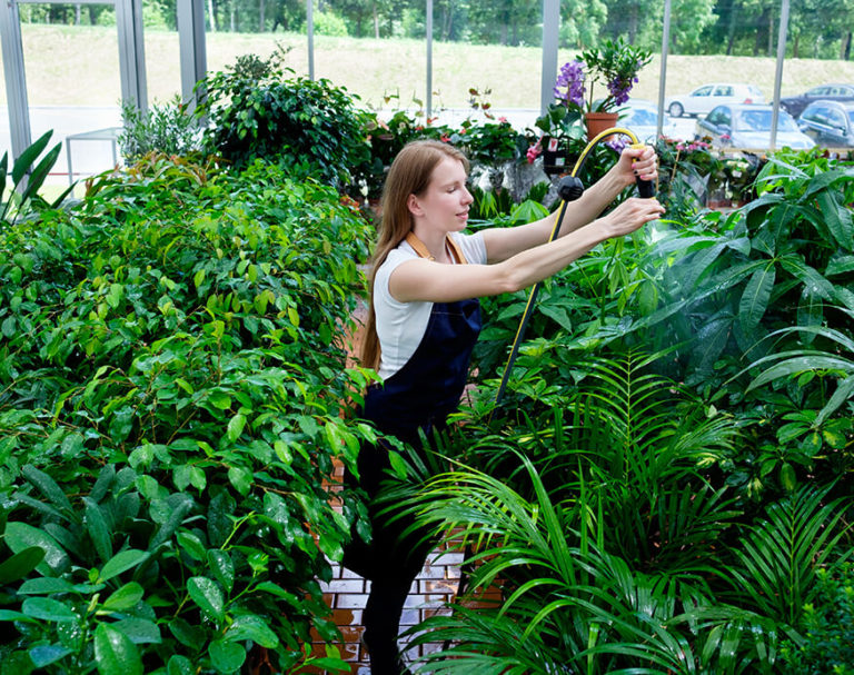 How Does A Greenhouse Work?