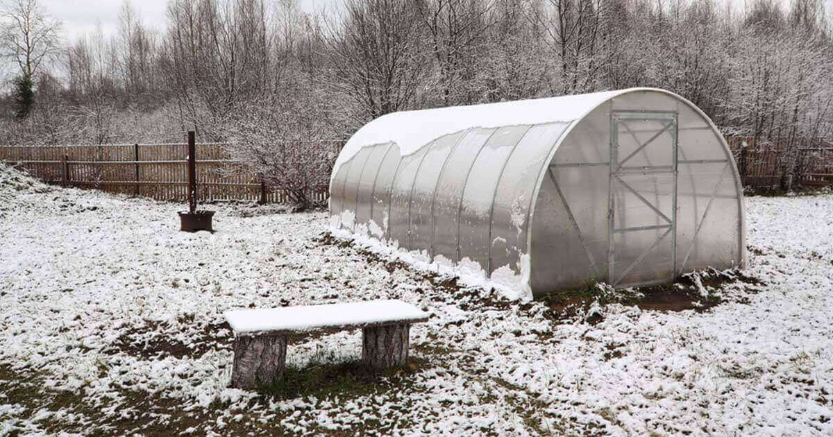 greenhouse during winter season