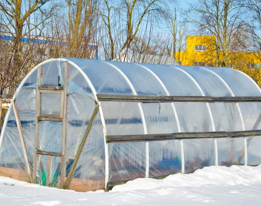 polythene greenhouse for winter gardening