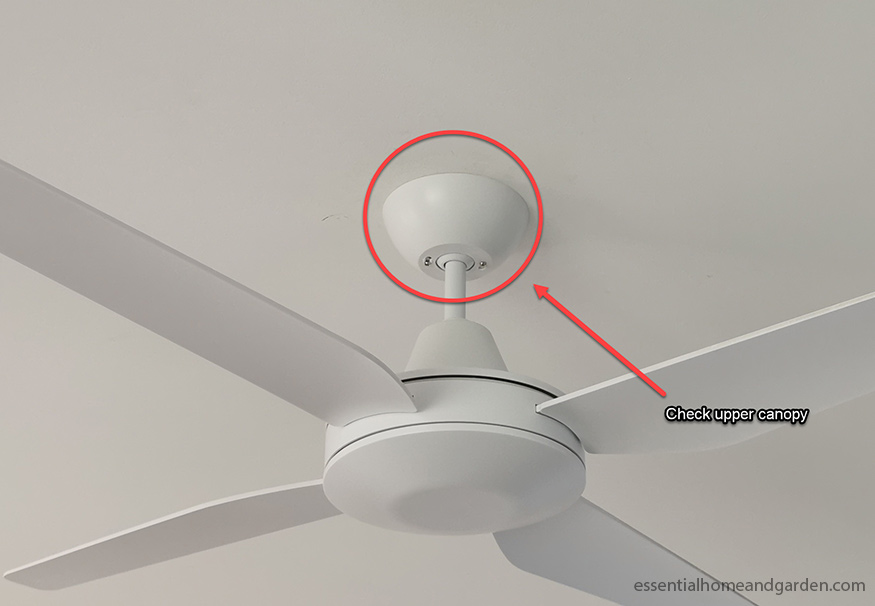 How To Fix A Noisy Ceiling Fan 11, Squeaky Ceiling Fan Bearings