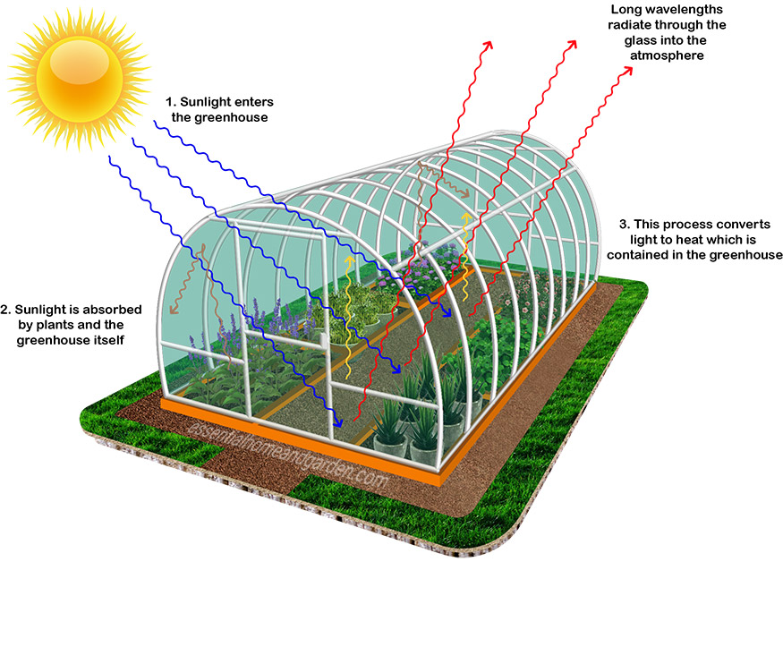 how does a greenhouse work - the science behind greenhouses