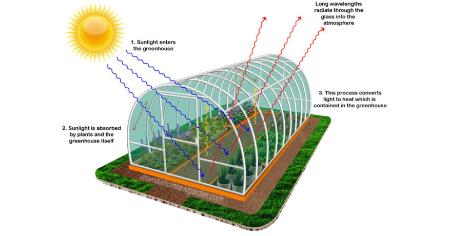 photo showing how heats build-up in a greenhouse