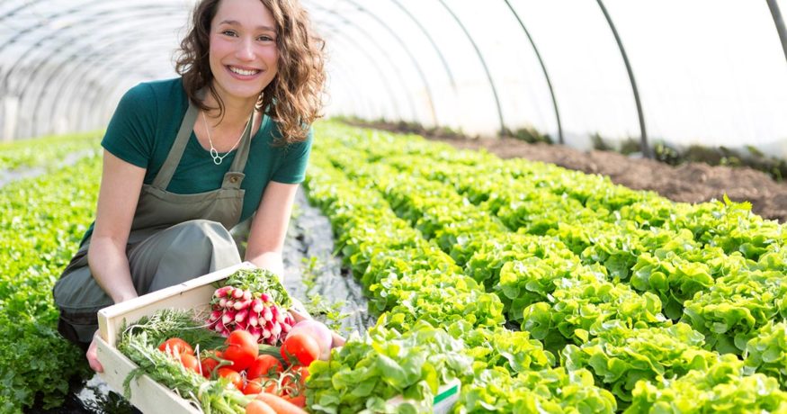 woman with harvested vegetables in greenhouse