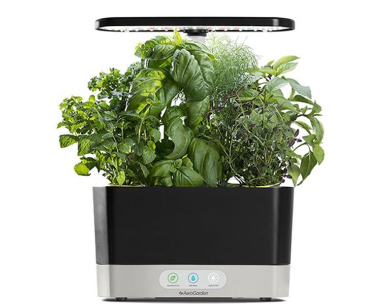 Miracle Gro Aerogarden Reviews And Buying Guide 2024