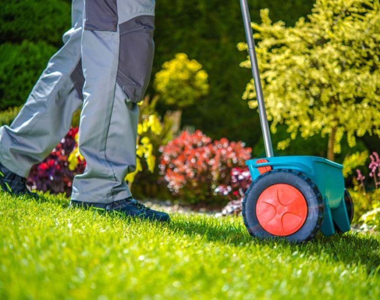 How To Grow Grass Fast The Simple Guide