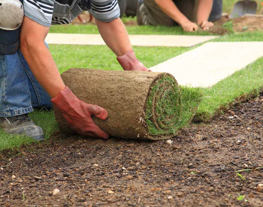 A man is quickly laying down grass on a lawn using sod.