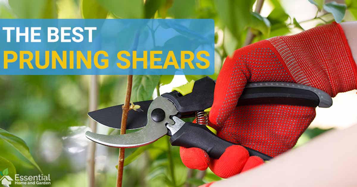 The Best Pruning Shears