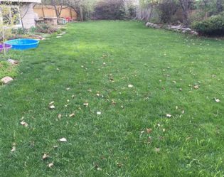 Sunday Lawn Care Review - Before and After Photos