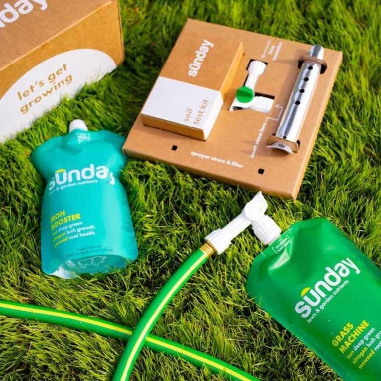 Lawn Rust How To Identify, Treat And Prevent Rust On Grass