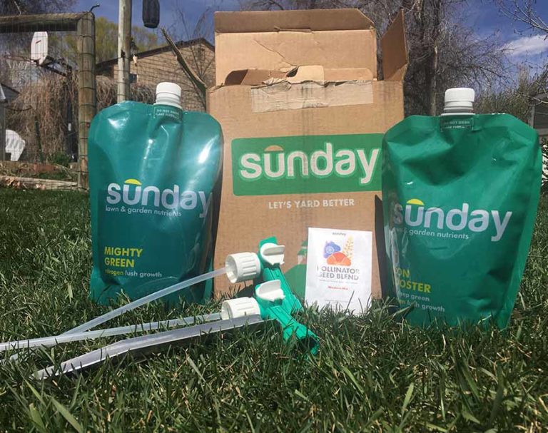 Sunday lawn care review hands on test before and after photos