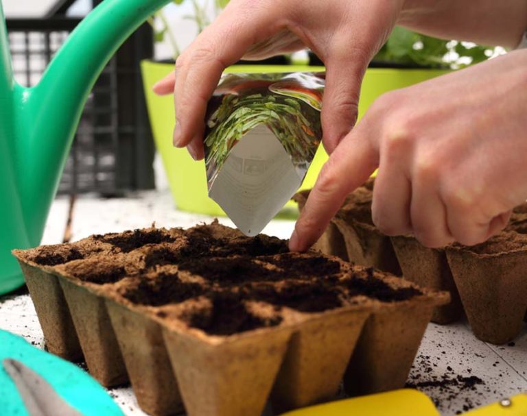 Starting Seeds In A Greenhouse When And How To Do It