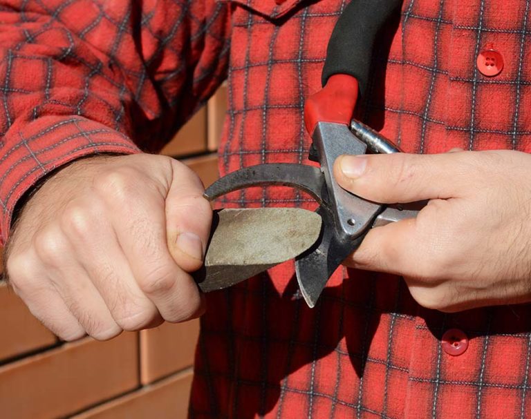 How To Clean Pruning Shears Sterilize And Clean Your Pruners