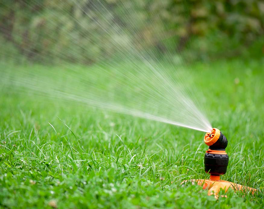 activated sprinklers in the garden