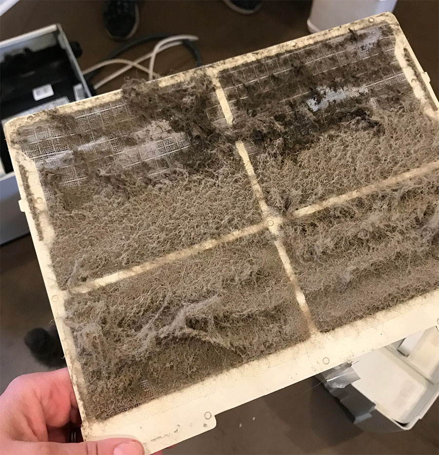 A person holding a dirty air filter.