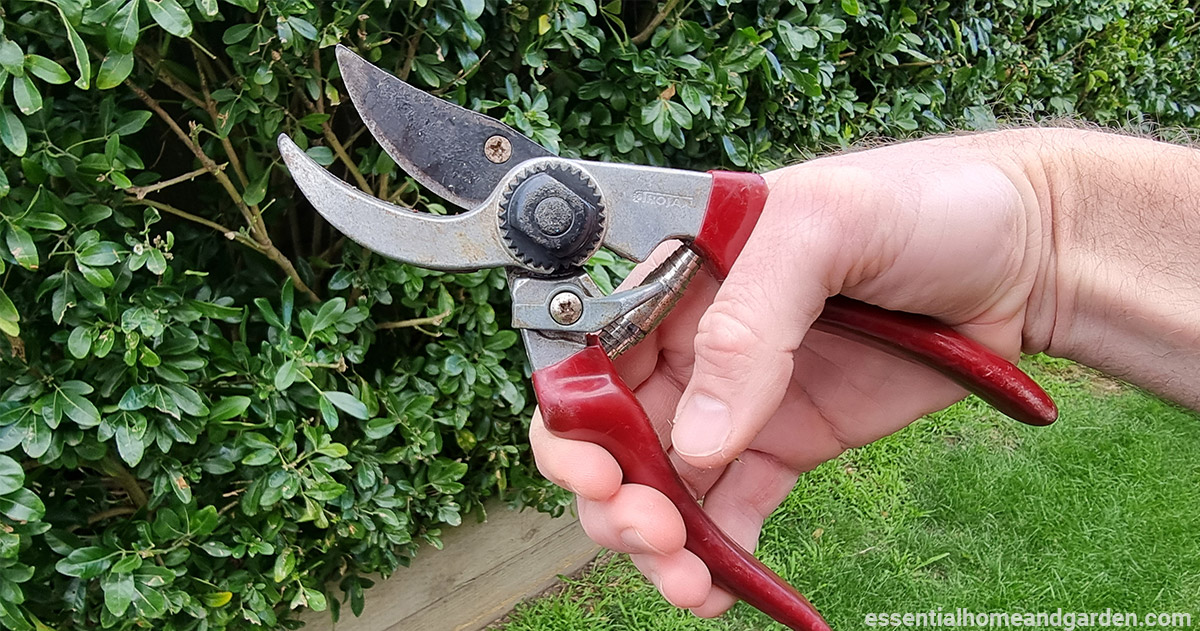 how to clean pruning shears