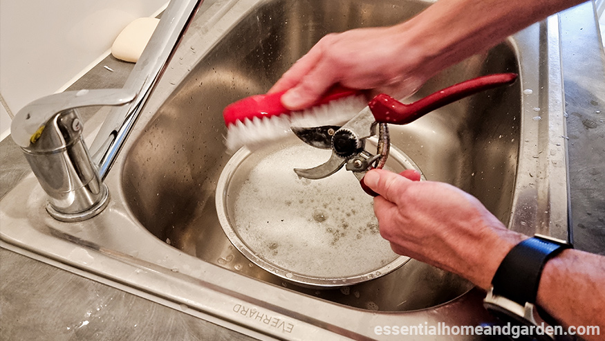 scrubbing pruning shears