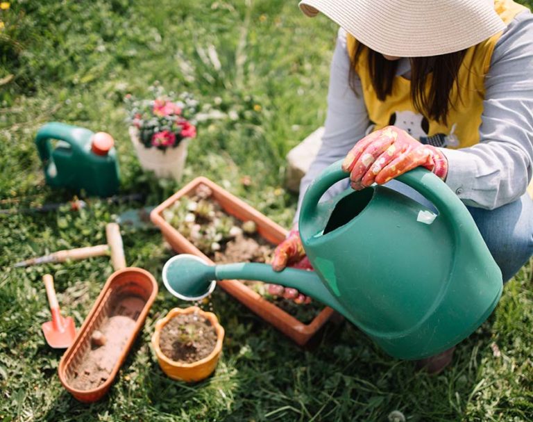 How To Aerate Soil In Potted Plants Identify And Solve Compacted Soil