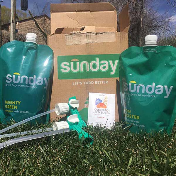 Sunday Lawn Care Subscription