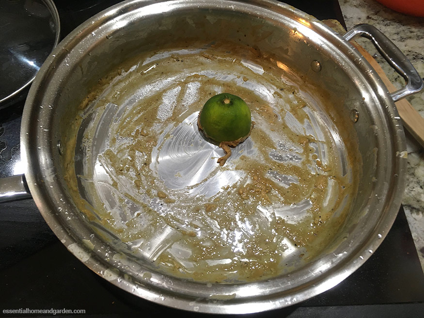 lime cleaning off burnt food on cookware