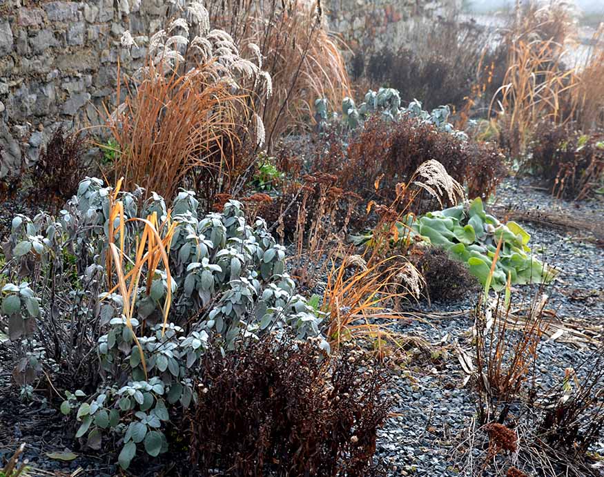 perennial bed with chipped rocks