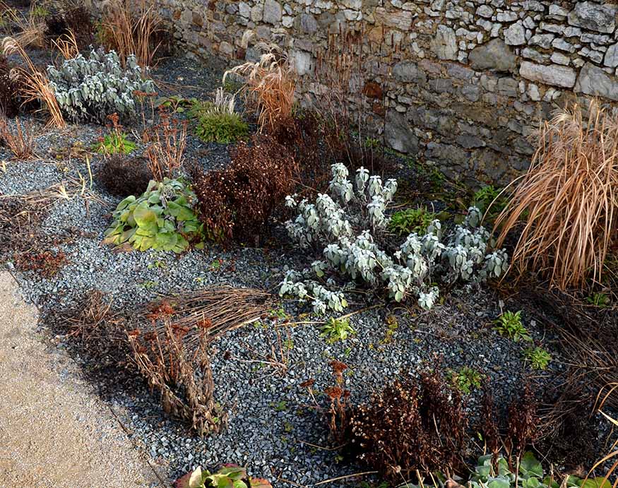a garden with pea gravel