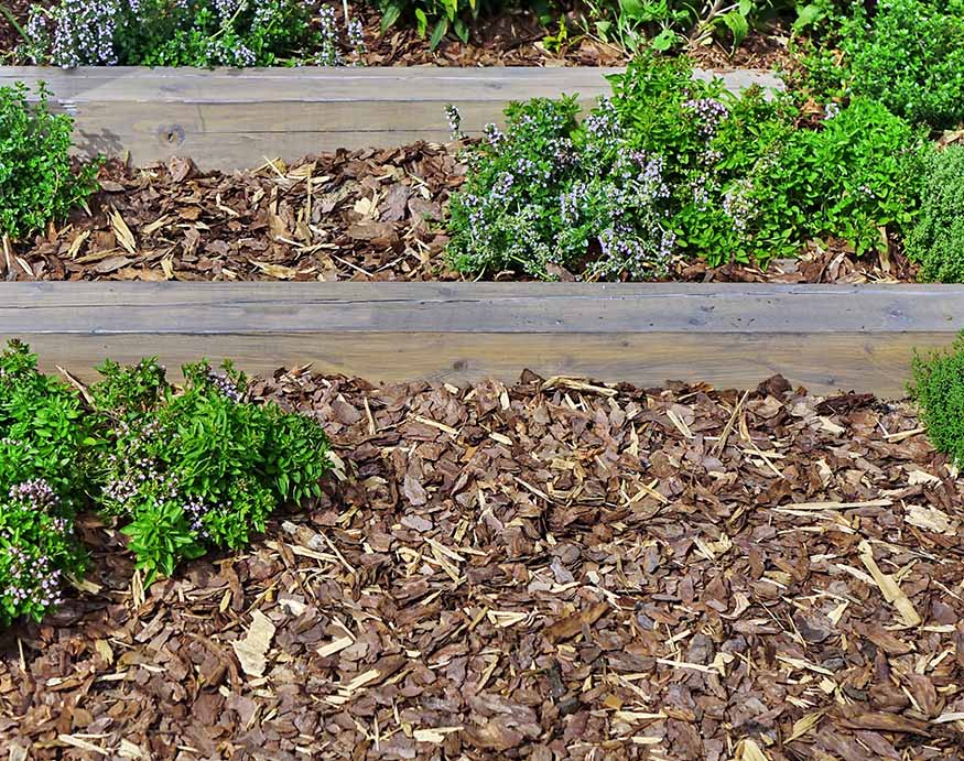 A garden with a layer of dried leaf mulch