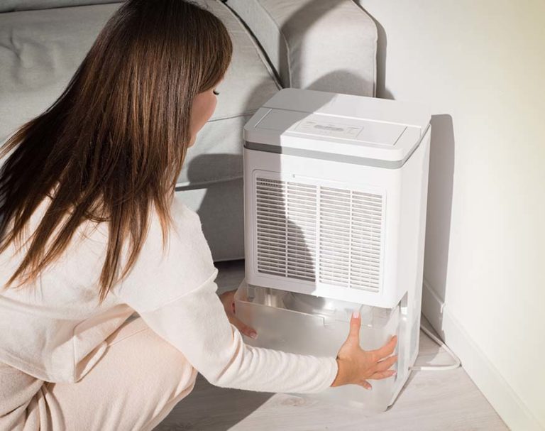 Whole House Dehumidifiers What They Do And How Much They Cost