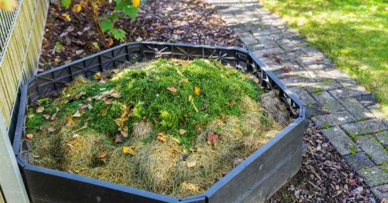 compost bin filled with weeds