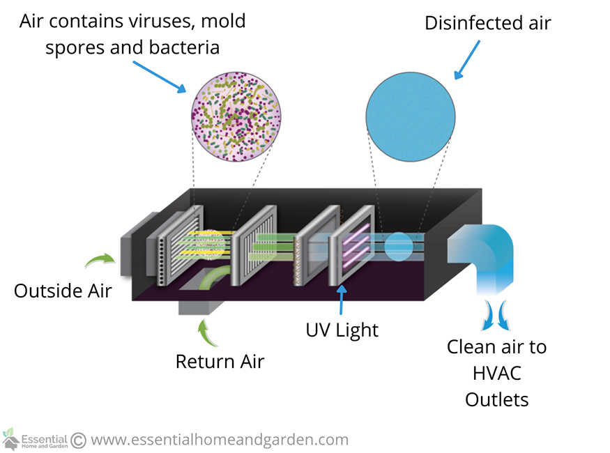 how a uv light air purifier works