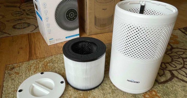 complete inclusions of the Okaysaou Cayman 608 Air Purifier