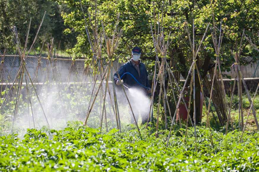 a farmer spraying chemical fertilizer