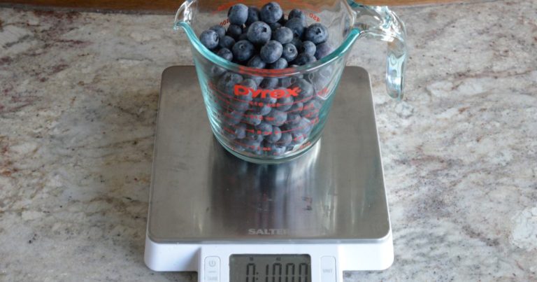 Blueberries in a pyrex