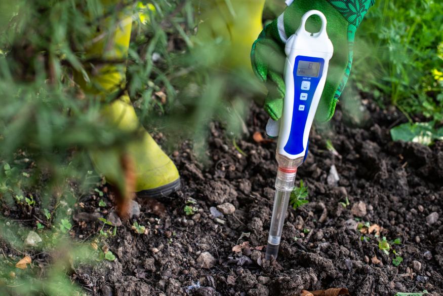 a gardener using a soil meter to check the pH level