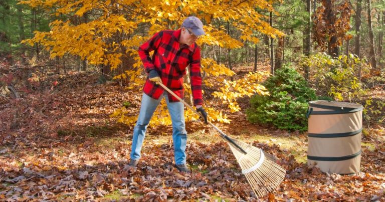 A person raking leaves in a pile