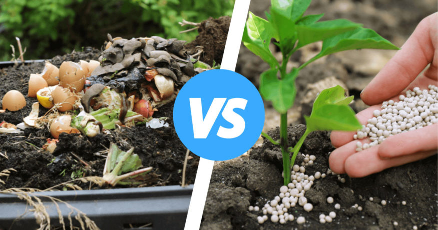 compost vs fertilizer