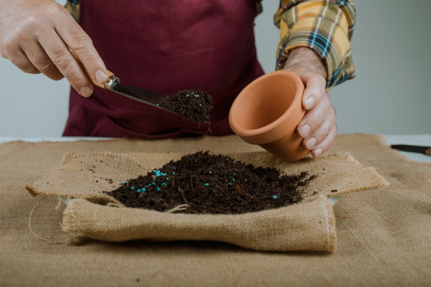 A gardener putting soil in a terracotta pot