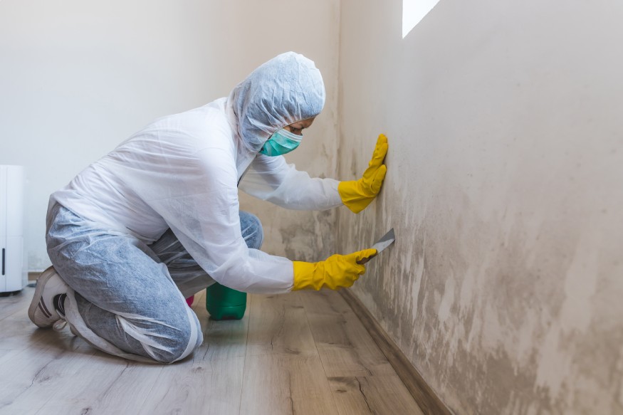 a cleaning professional removing mold
