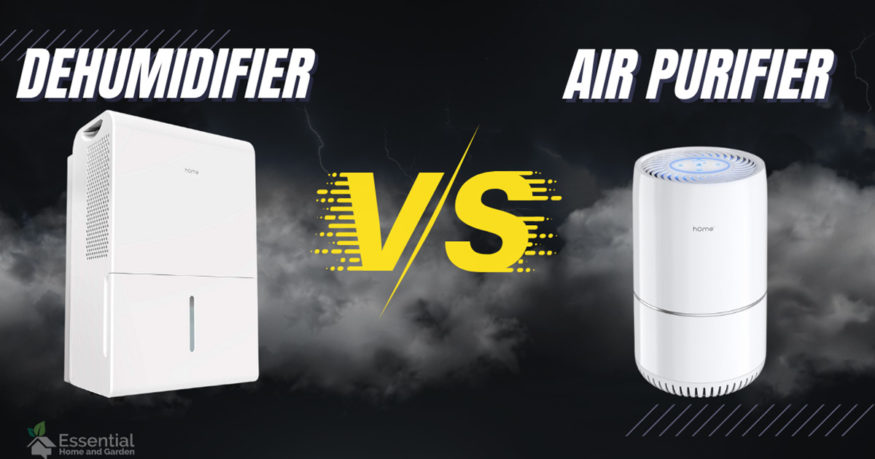 dehumidifier vs air purifier