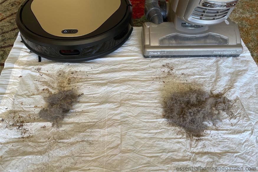 dust and pet hair collected from Ollie vs Shark vacuum