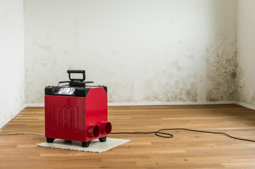 a large dehumidifier in an empty room filled with mold