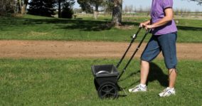 What’s Best Time to Fertilize Lawn? Before or After Rain?