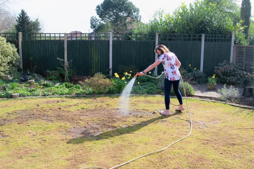 a woman uses a garden hose to water areas with pre-emergent weed killer