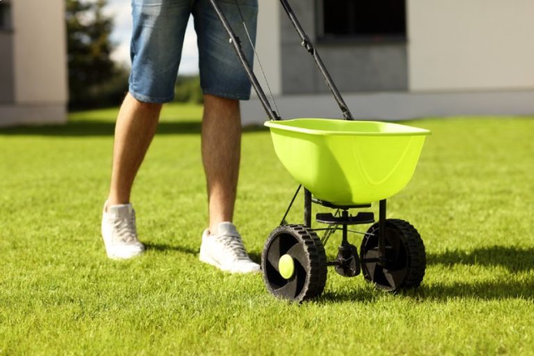 What Is A PreEmergent Weed Killer?