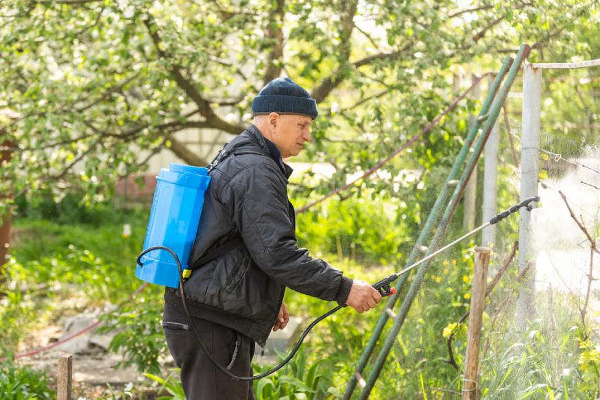 a man spraying a pre-emergent weed killer in his garden