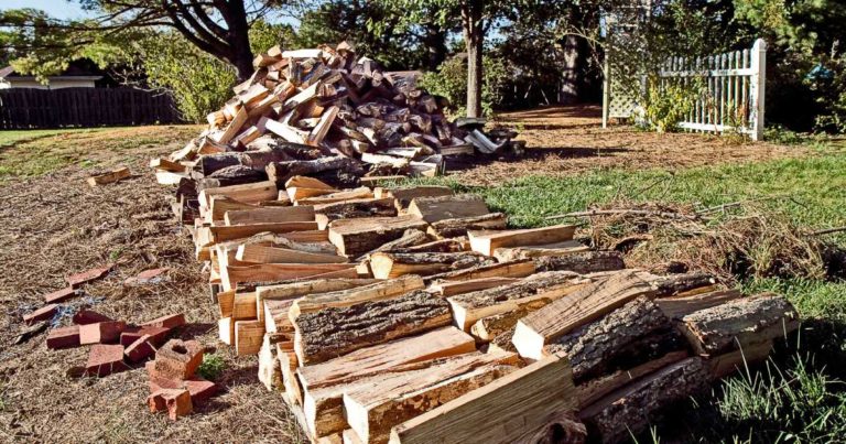 pile of firewood air drying outside