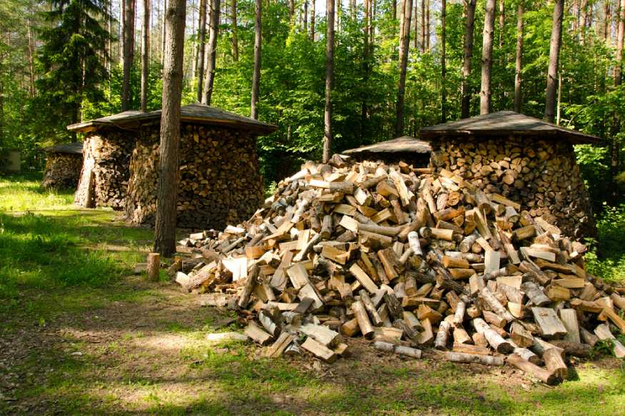 pile of chopped wood air drying outdoors