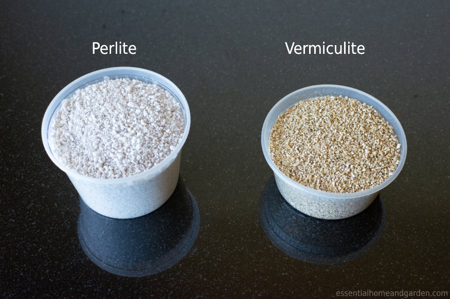 Perlite and vermiculite in containers