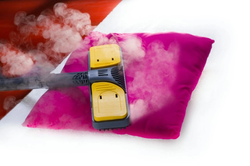 How To Use Diatomaceous Earth For Bed Bugs