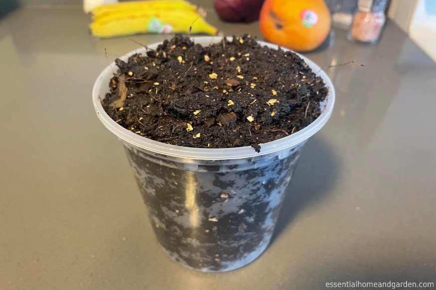 a cup full of dirt from Grow Mode