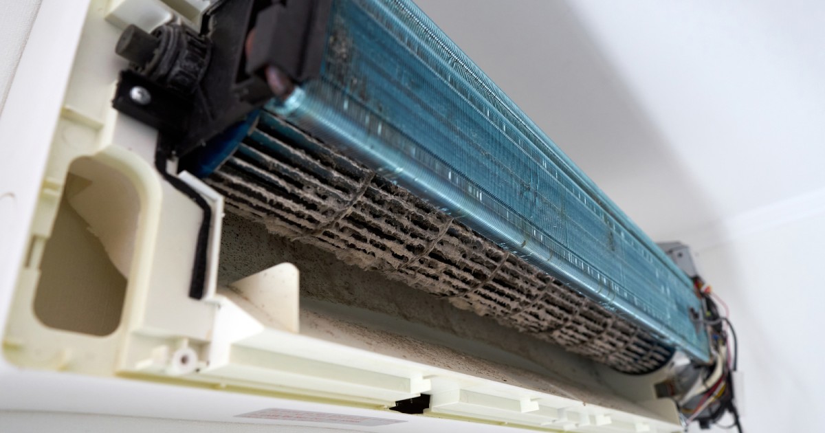 mold, dust, and dirt collecting inside the AC